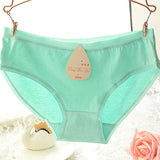Female Candy Color Casual Women Cotton Underwear Panties